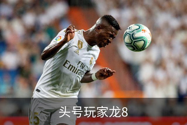 头号玩家龙8公司简介展示图